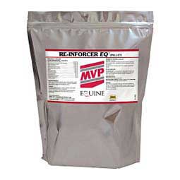 Re-Inforcer EQ for Horses  Med-Vet